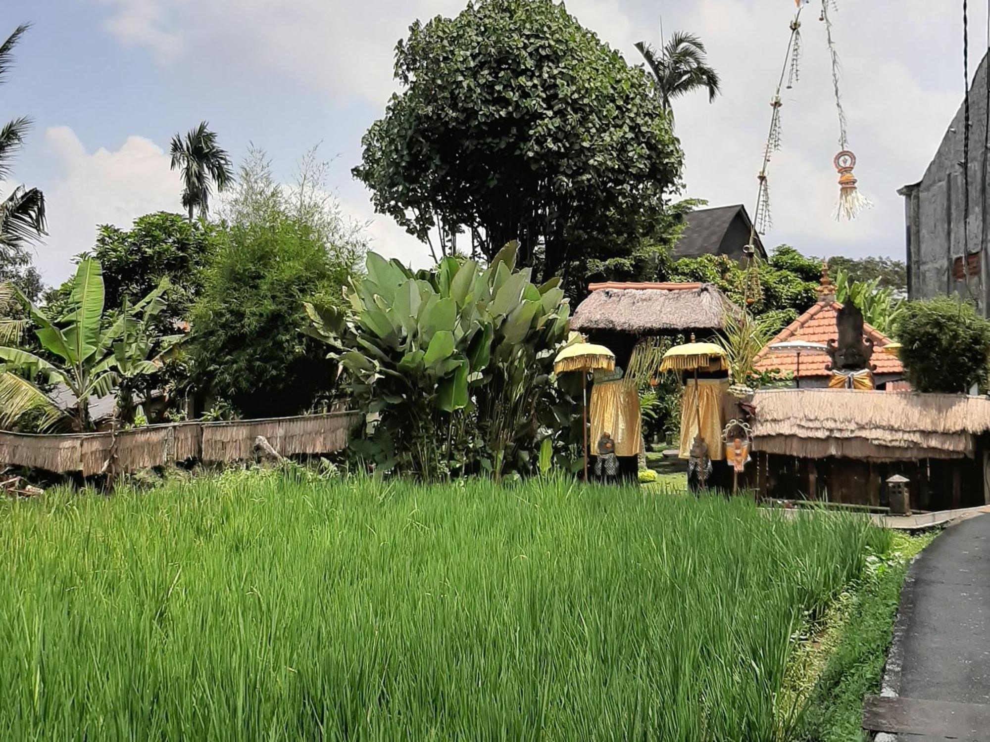 Ubud Hidden Villa Yone Village Eksteriør bilde