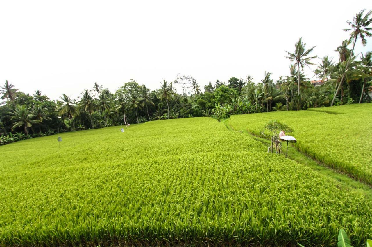 Ubud Hidden Villa Yone Village Eksteriør bilde